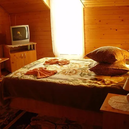 Pension Bran Ioana& Spa-2